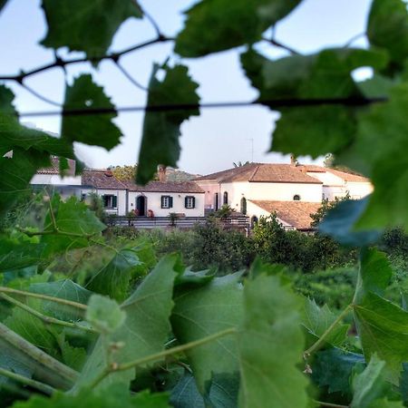 Casa Vacanze Etna Piedimonte Etneo Exteriér fotografie