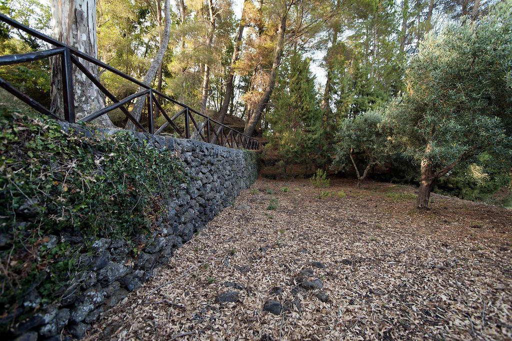 Casa Vacanze Etna Piedimonte Etneo Exteriér fotografie