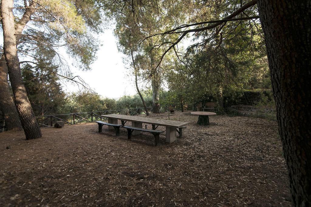 Casa Vacanze Etna Piedimonte Etneo Exteriér fotografie