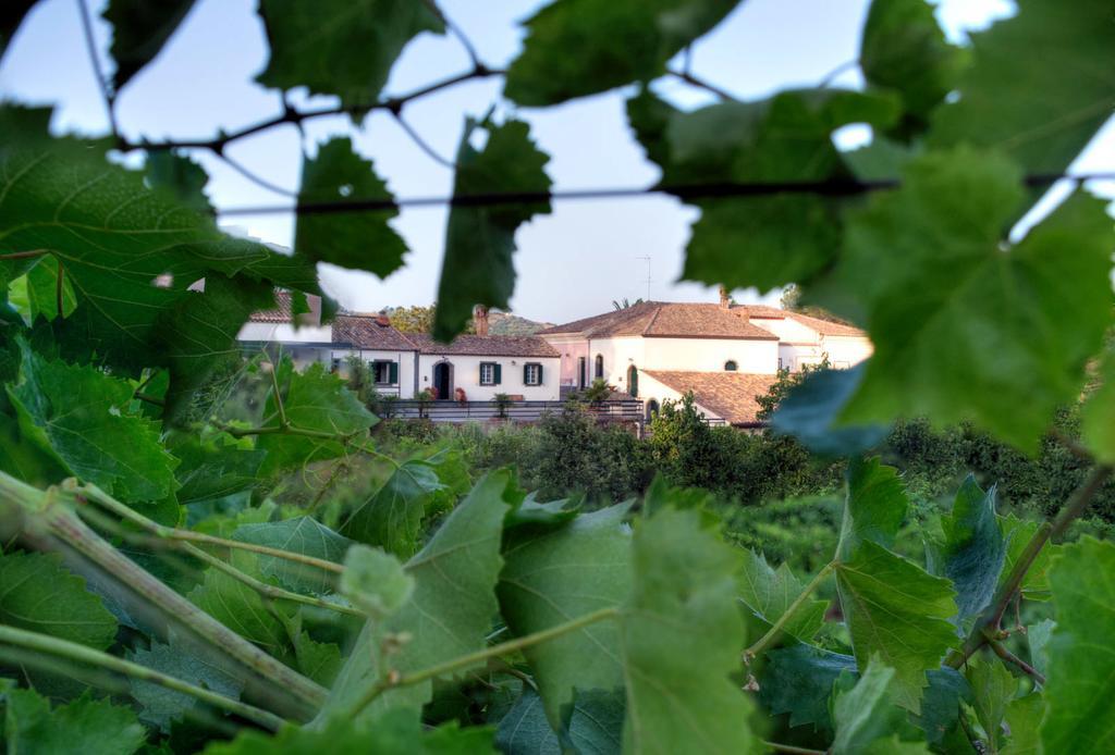 Casa Vacanze Etna Piedimonte Etneo Exteriér fotografie